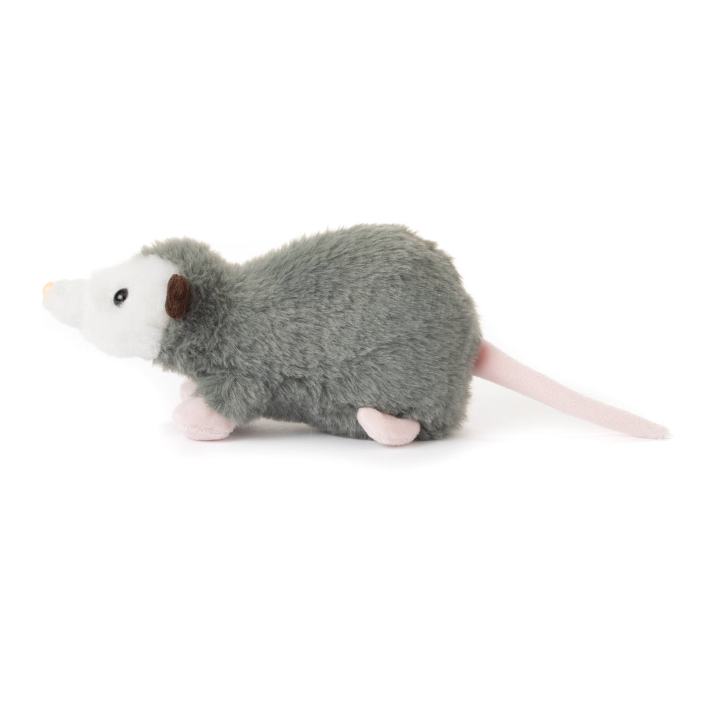 Paxton The Possum