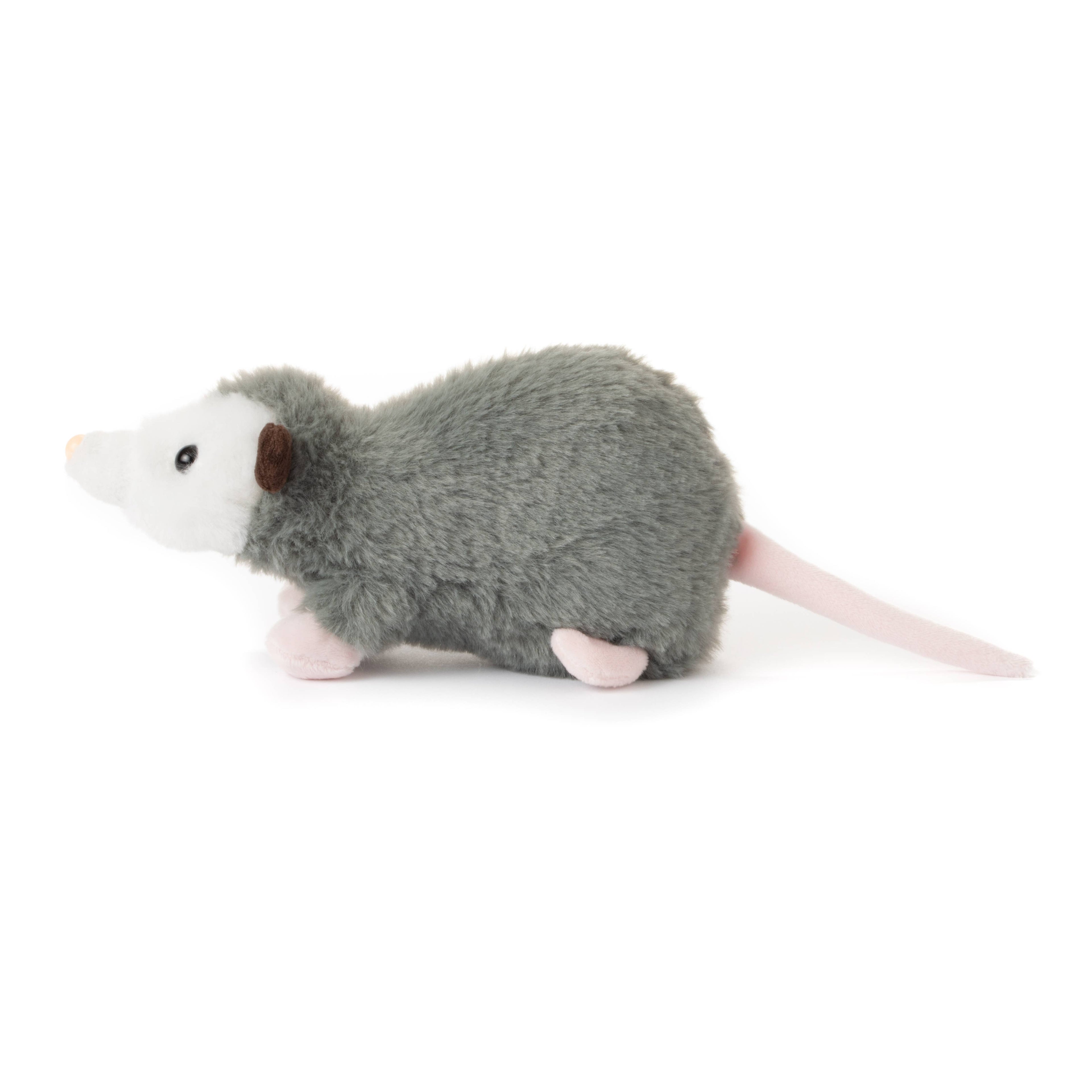 Paxton The Possum