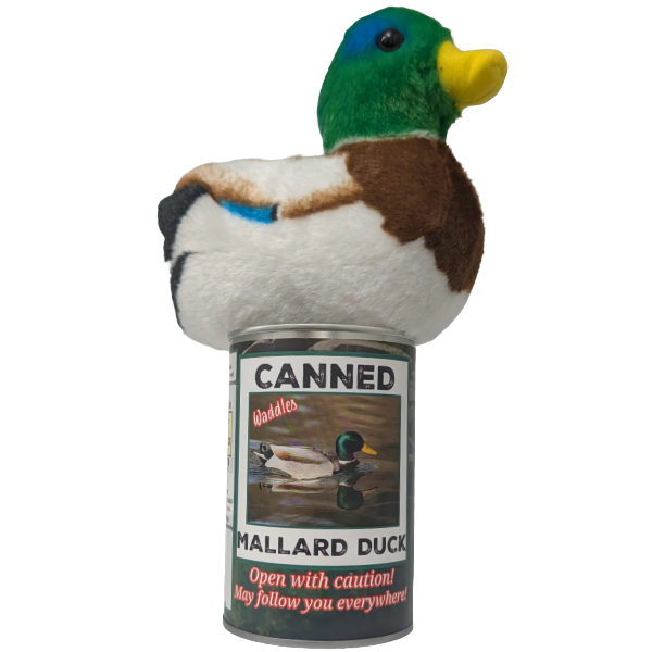 Waddles the Canned Mallard Duck -  Gift w/ Sound: Pop Top Lid