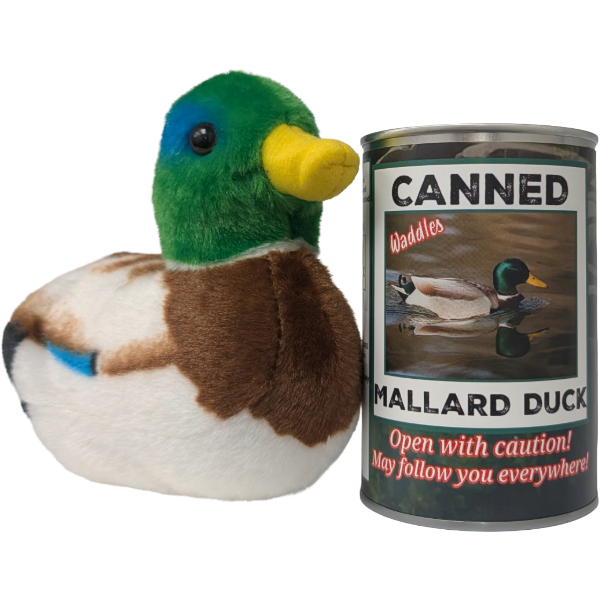 Waddles the Canned Mallard Duck -  Gift w/ Sound: Pop Top Lid