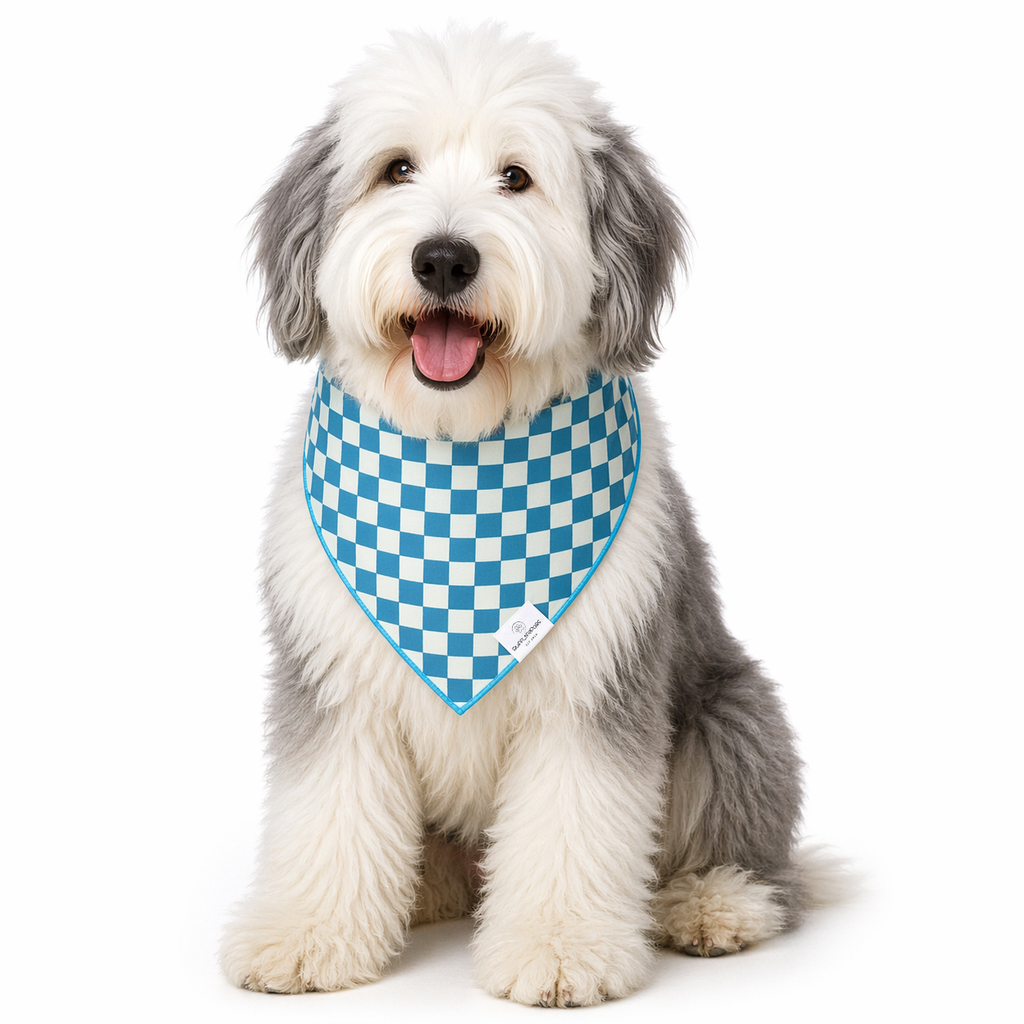 Teal Checkered Dog Bandana