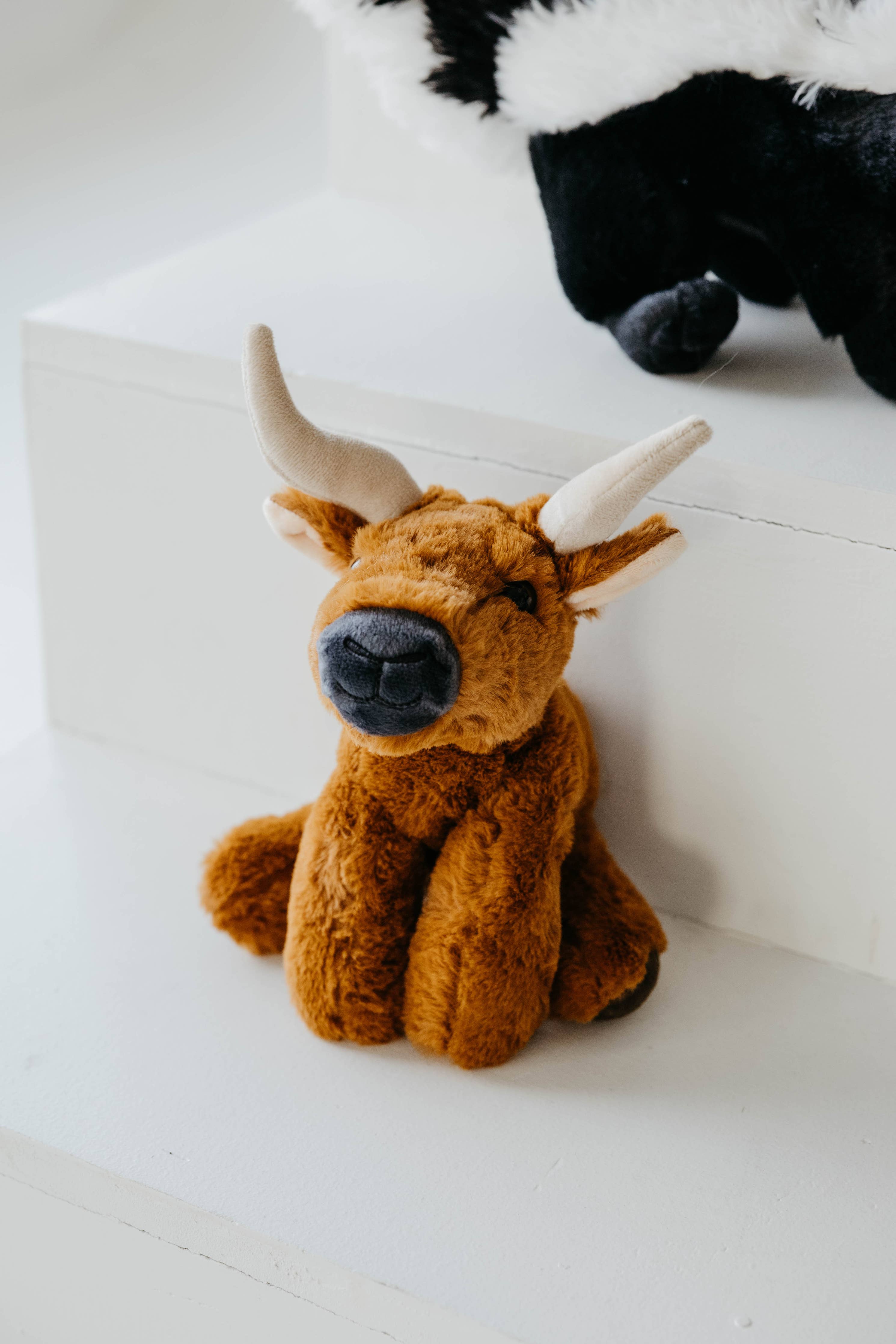 Lonny The Longhorn