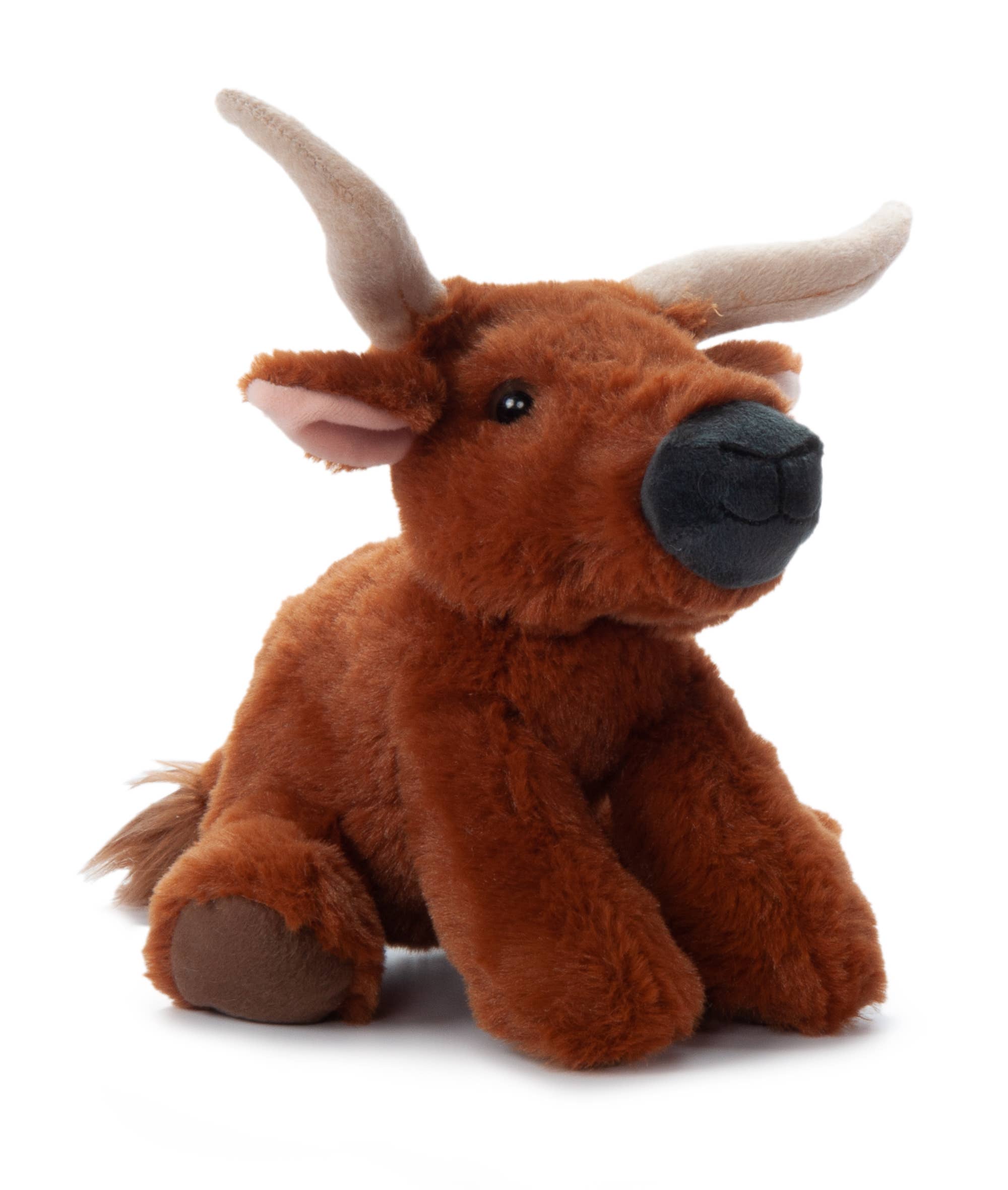 Lonny The Longhorn