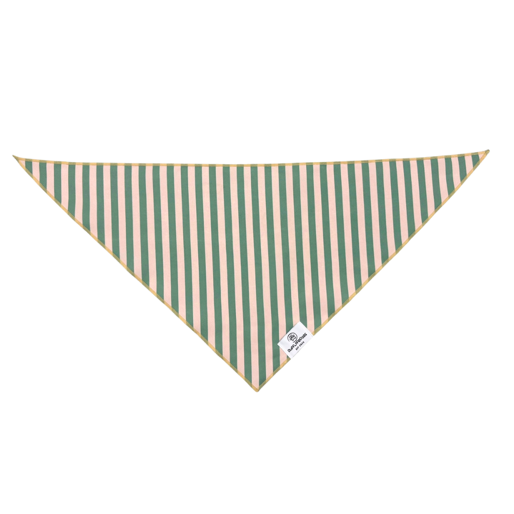 Sage Green Dog Bandana