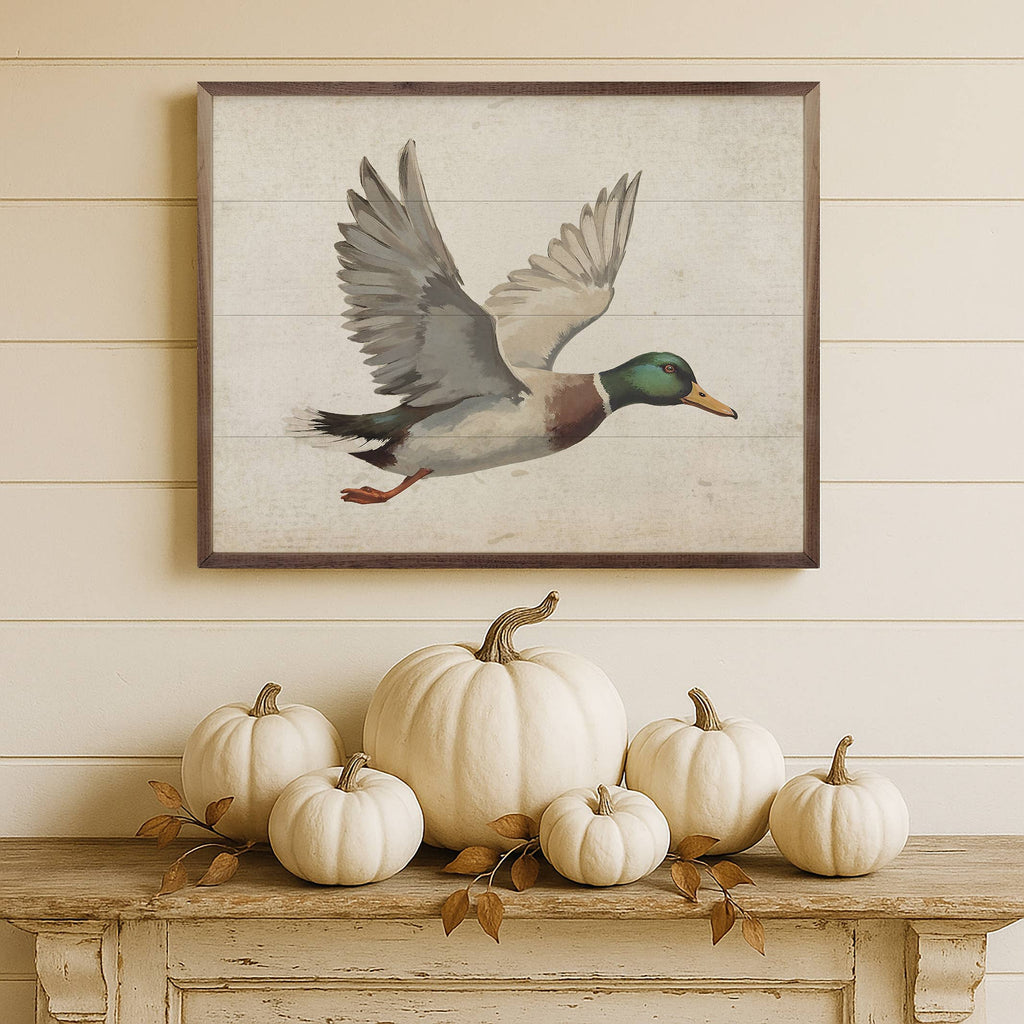 Dilly Duck Picture