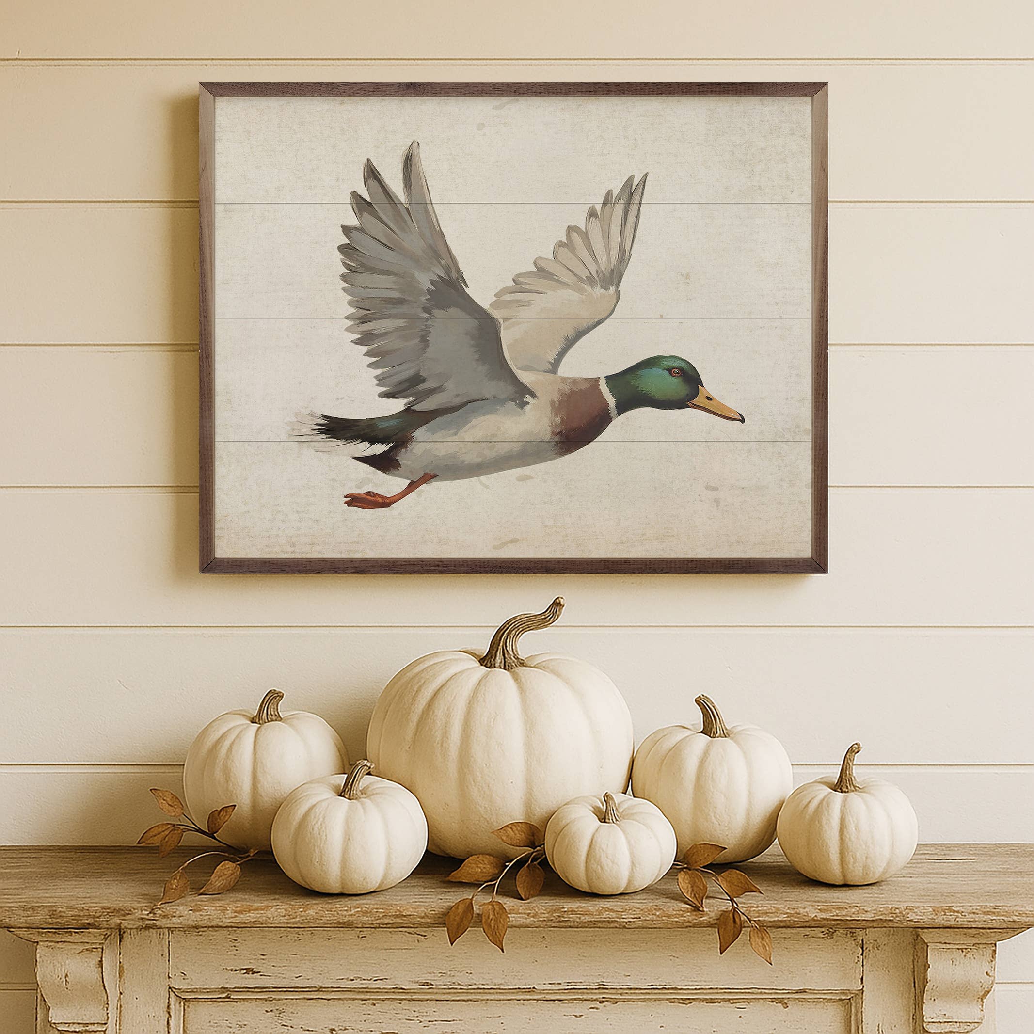 Dilly Duck Picture