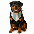 Sage Green Dog Bandana