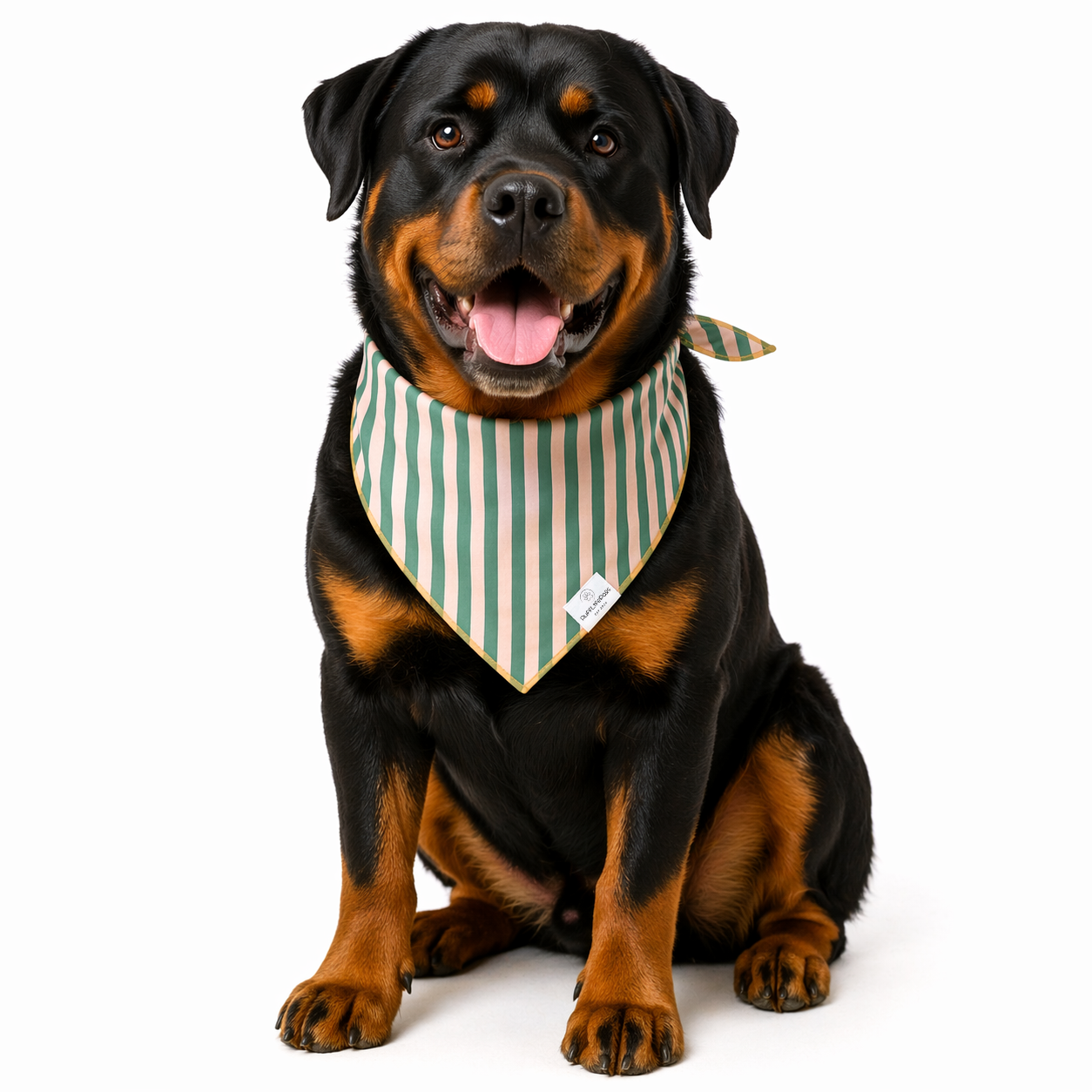 Sage Green Dog Bandana