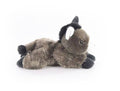 Dawson The Donkey