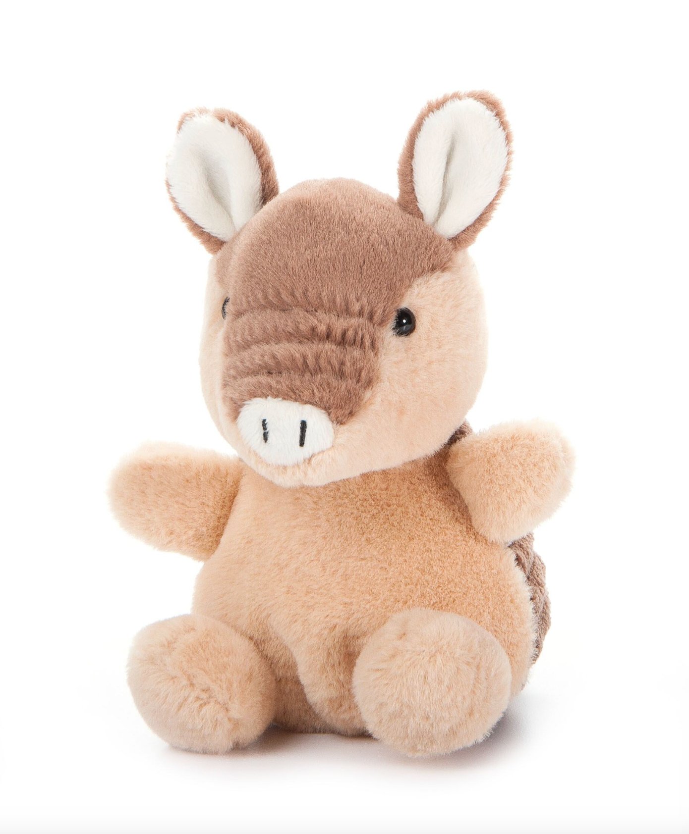 Archie The Armadillo