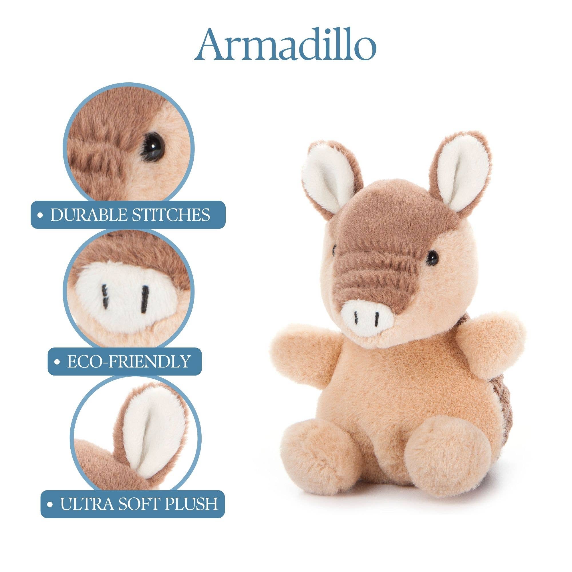 Archie The Armadillo