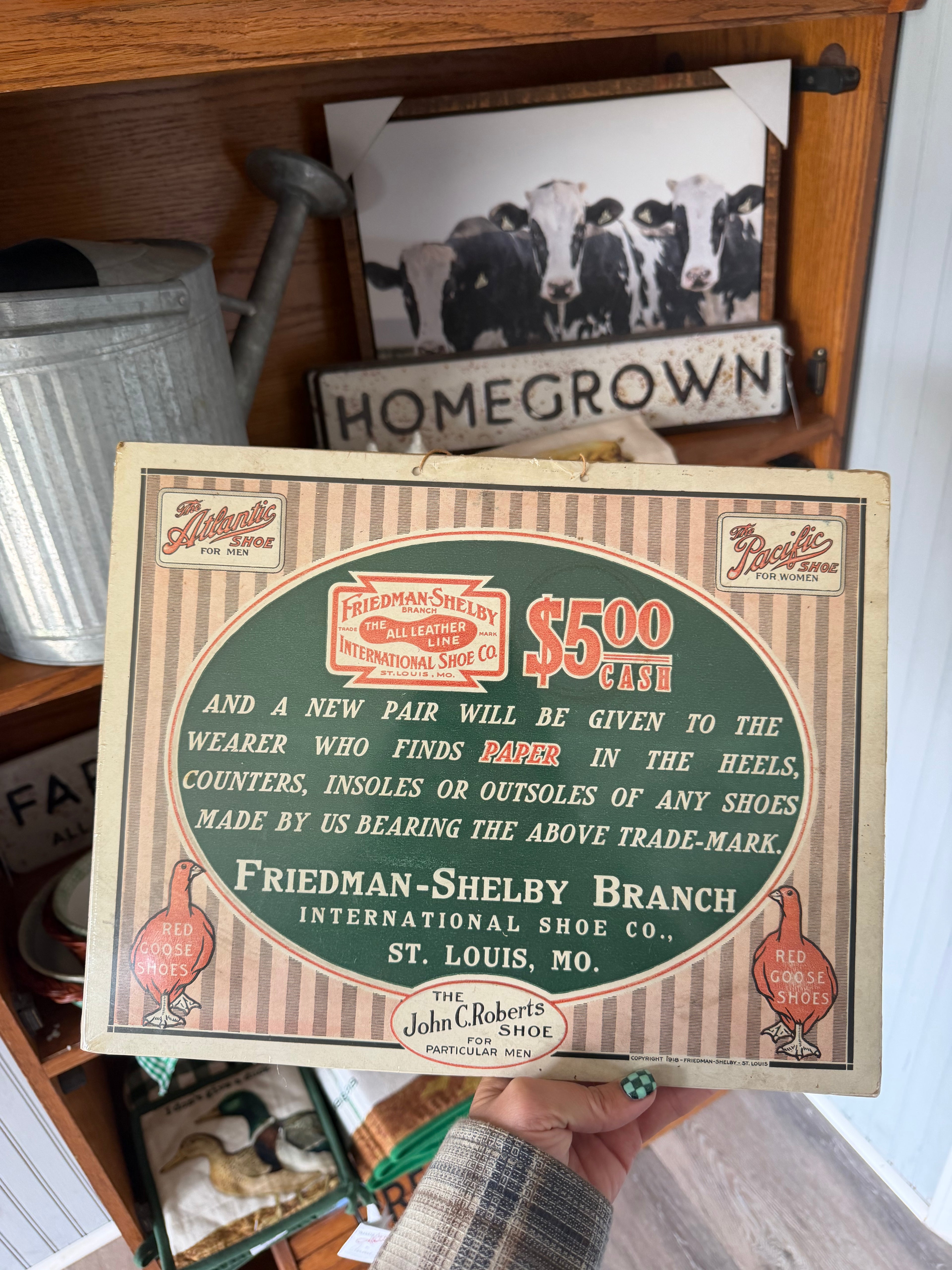 Friedman Shelby Sign
