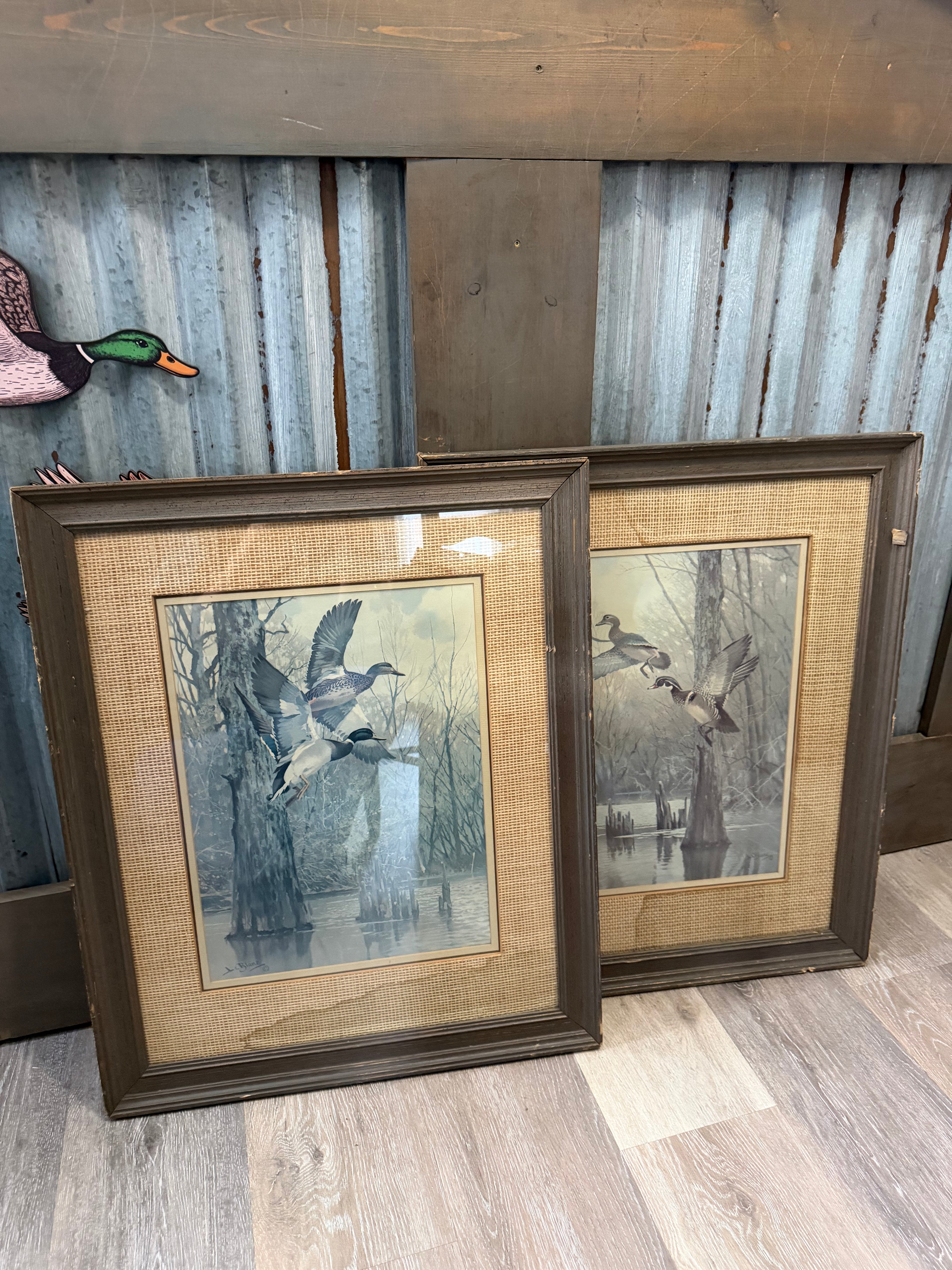 Set Of Two Flying Mallard Pictures
