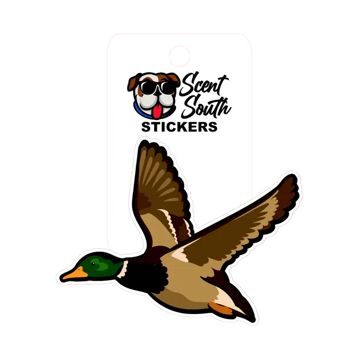 Mallard Sticker