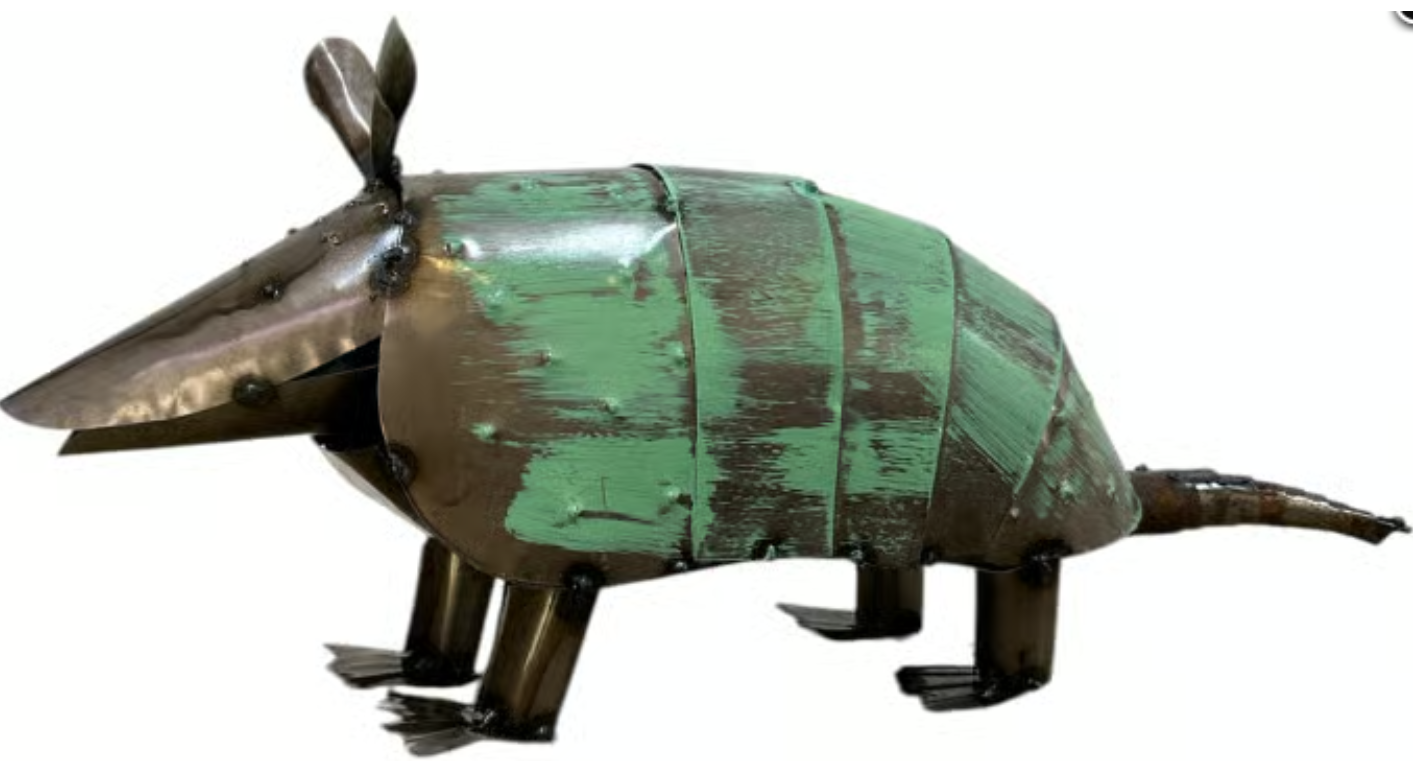 Artsy The Armadillo