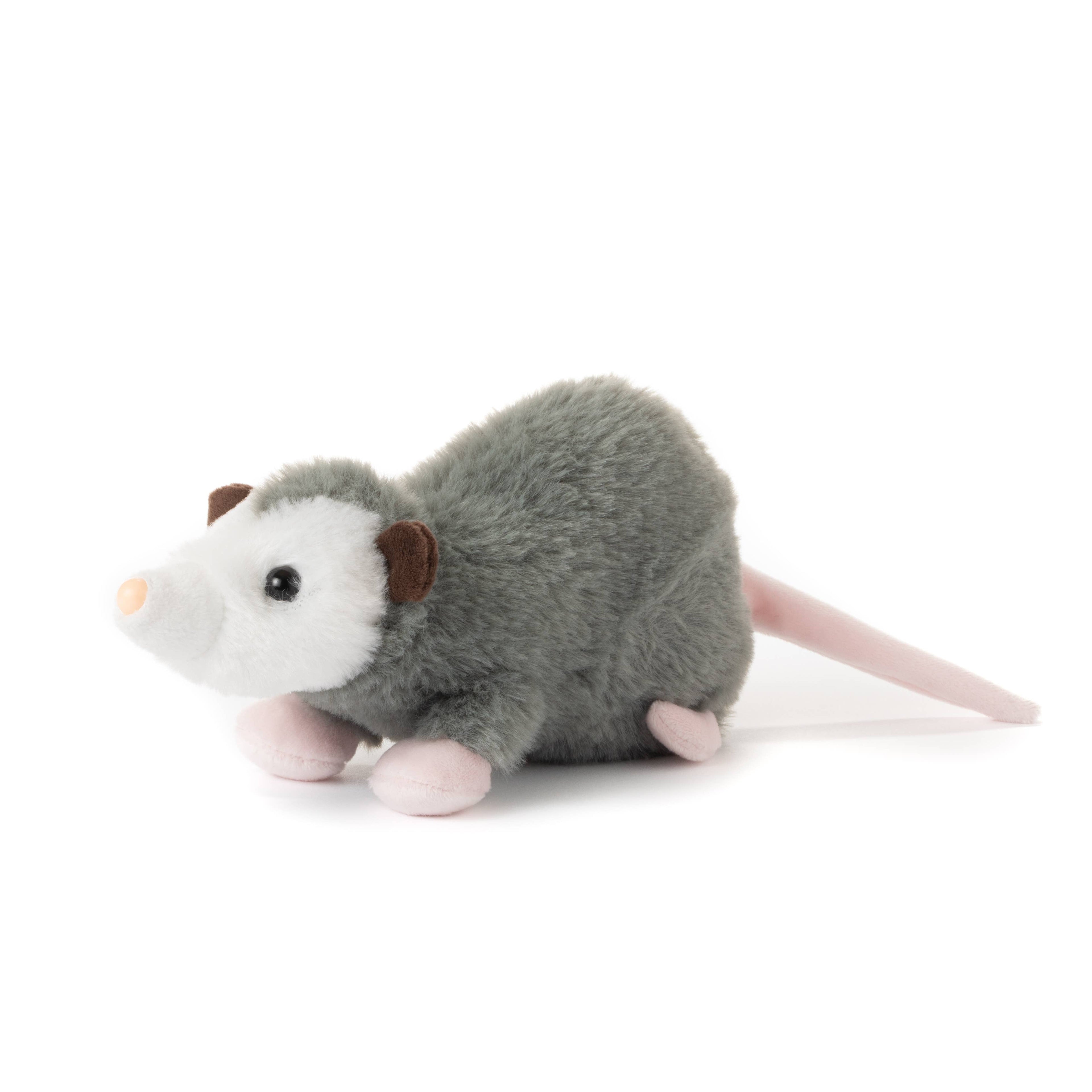 Paxton The Possum