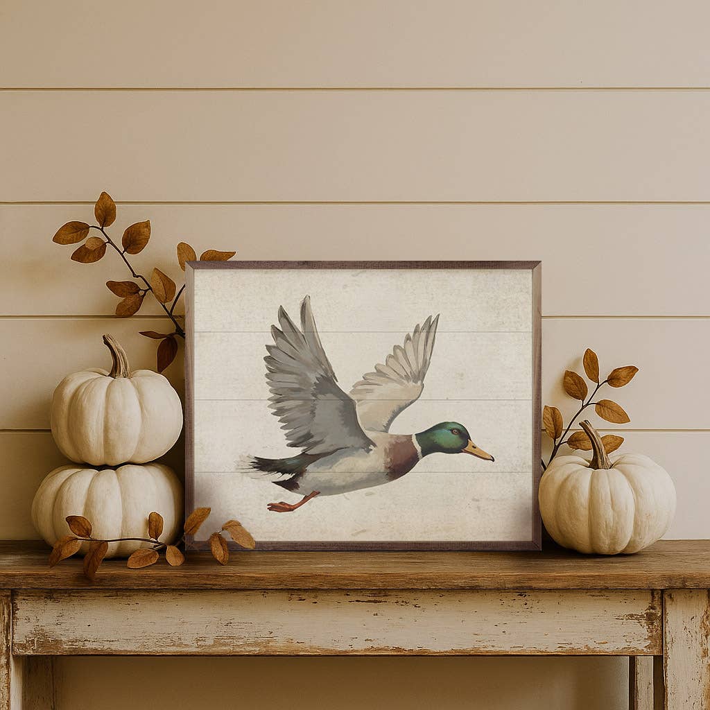 Dilly Duck Picture
