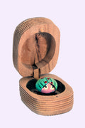 Bug in a Box