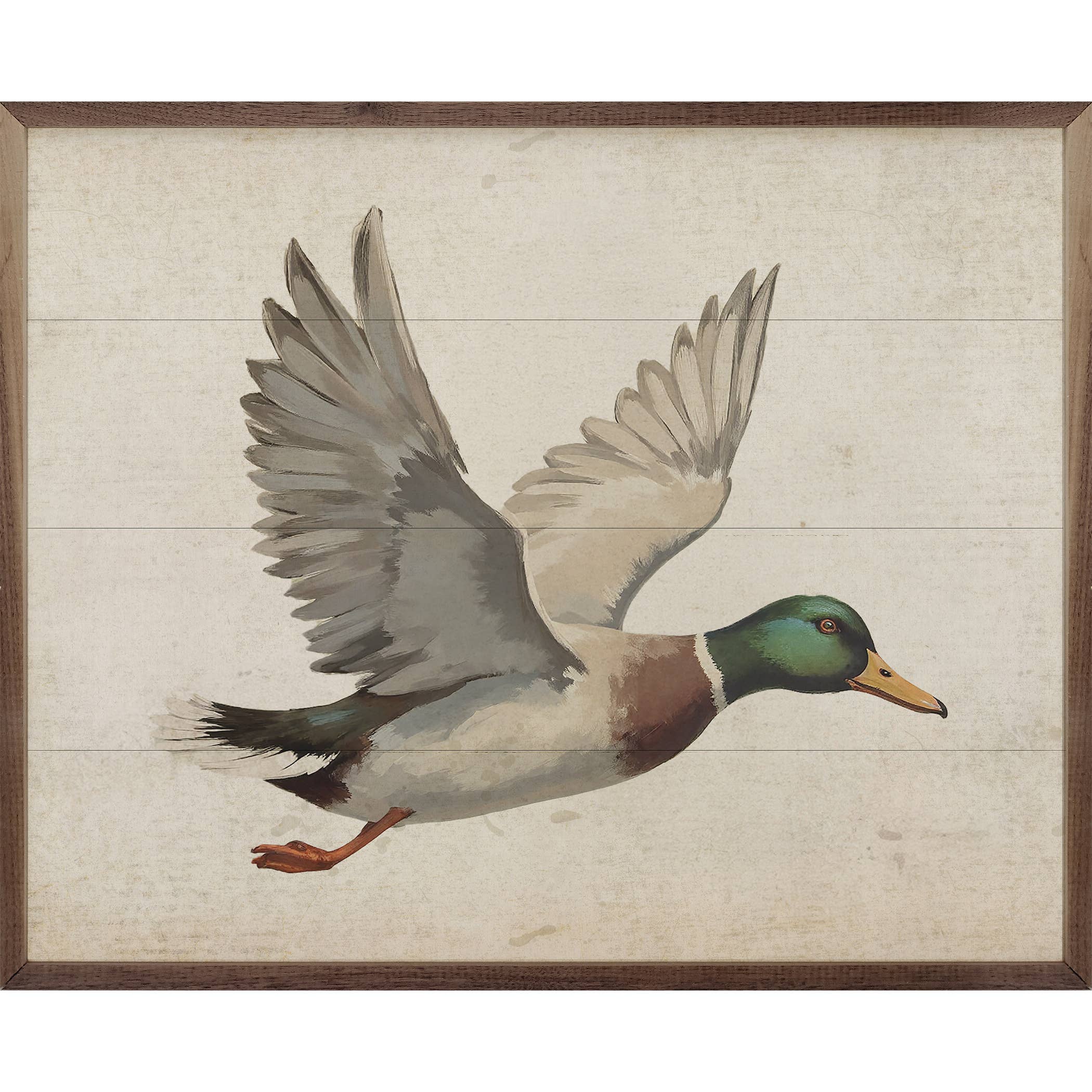 Dilly Duck Picture