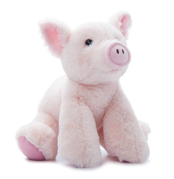 Pixie The Pig