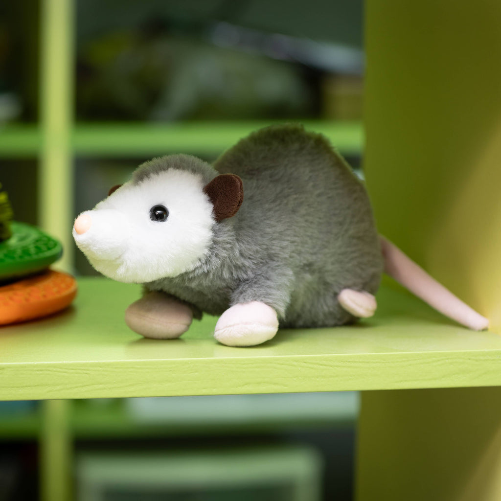 Paxton The Possum