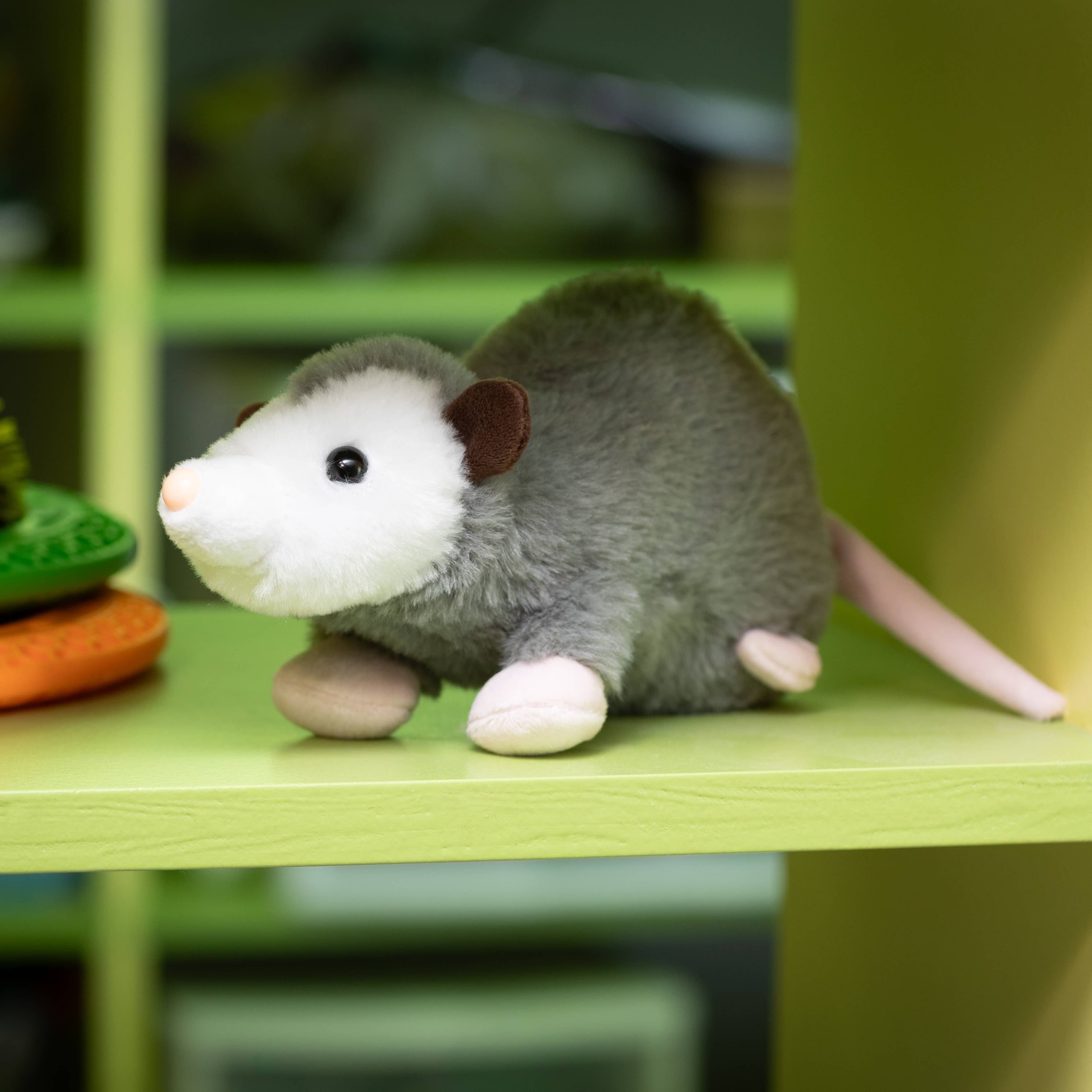 Paxton The Possum